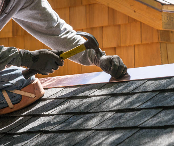 Best Roof Leak Repair  in Petal, MS